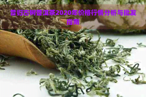 昔归古树普洱茶2020年价格行情分析与批发指南