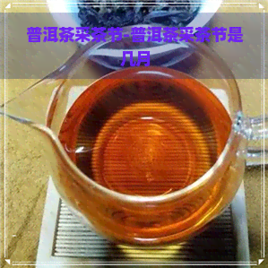 普洱茶采茶节-普洱茶采茶节是几月