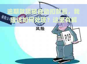 逾期款项被自动扣款后，我应该如何处理？这里有解答！