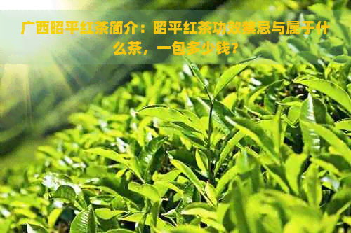 广西昭平红茶简介：昭平红茶功效禁忌与属于什么茶，一包多少钱？