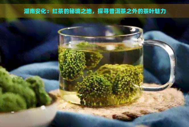 湖南安化：红茶的秘境之地，探寻普洱茶之外的茶叶魅力