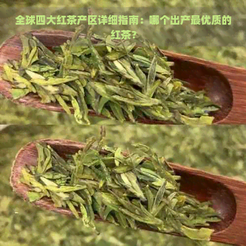 全球四大红茶产区详细指南：哪个出产更优质的红茶？