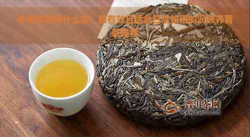 养胃养肺喝什么茶：最有效且适合日常饮用的润肺养胃茶推荐