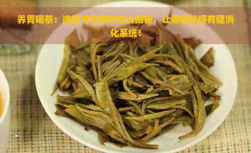 养胃喝茶：选择与饮用方法大揭秘，让你轻松拥有健消化系统！