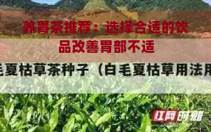 养胃茶推荐：选择合适的饮品改善胃部不适