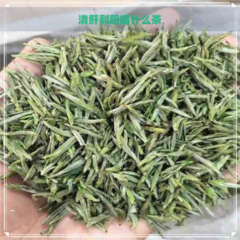 清肝利胆喝什么茶