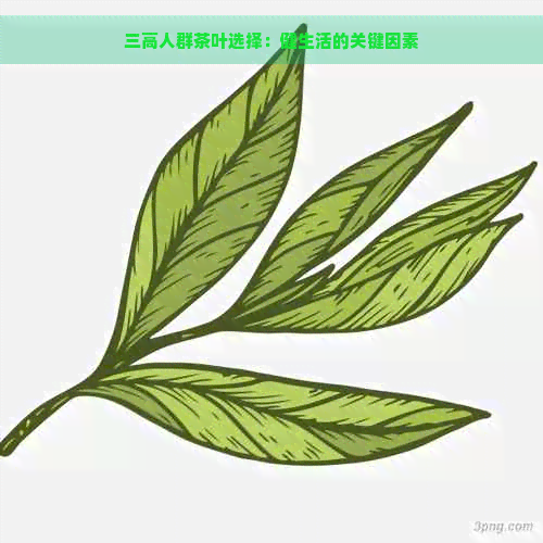 三高人群茶叶选择：健生活的关键因素