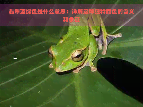 翡翠蓝绿色是什么意思：详解这种独特颜色的含义和象征