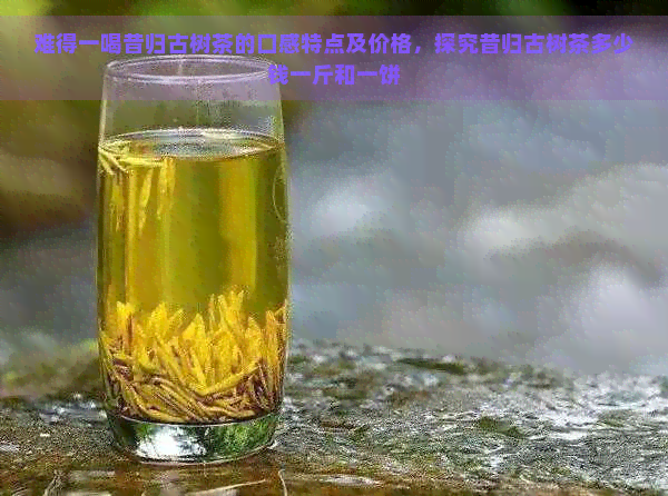 难得一喝昔归古树茶的口感特点及价格，探究昔归古树茶多少钱一斤和一饼