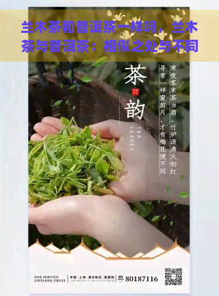 兰木茶和普洱茶一样吗，兰木茶与普洱茶：相似之处与不同点的对比分析