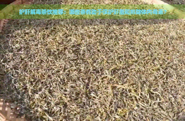 护肝解茶饮推荐：哪些茶有助于保护肝脏和排除体内素？