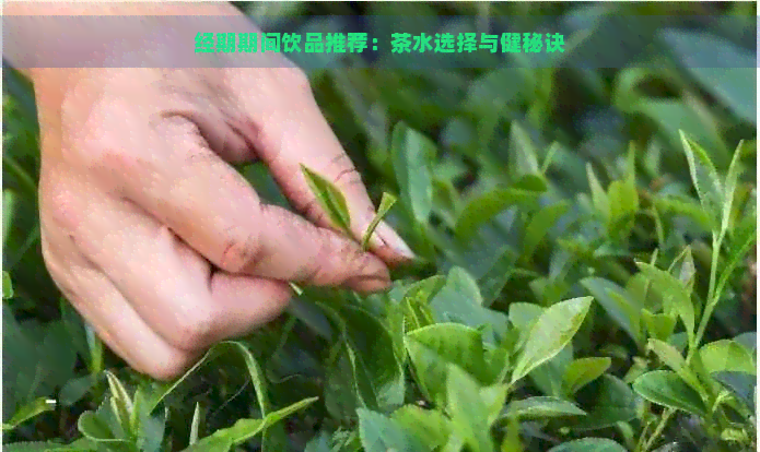 经期期间饮品推荐：茶水选择与健秘诀