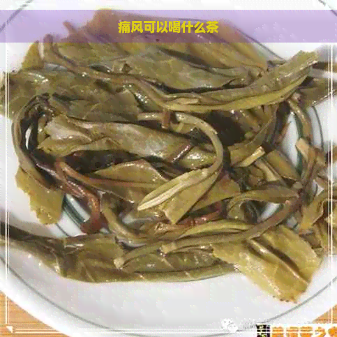 痛风可以喝什么茶