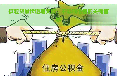 微粒贷最长逾期天数：不影响的关键信息