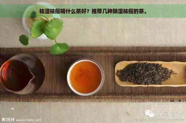 祛湿祛痘喝什么茶好？推荐几种除湿祛痘的茶。