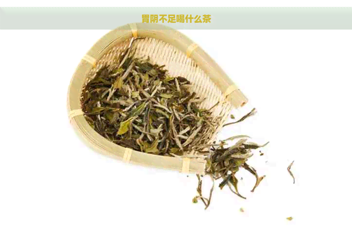 胃阴不足喝什么茶