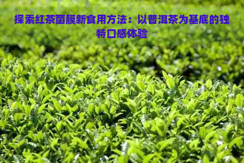 探索红茶菌膜新食用方法：以普洱茶为基底的独特口感体验