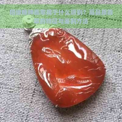 阳绿糯种翡翠属于什么级别？高品质翡翠的特征与鉴别方法