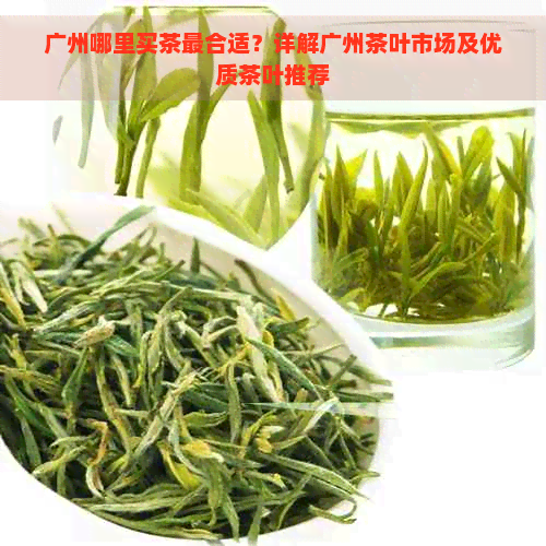 广州哪里买茶最合适？详解广州茶叶市场及优质茶叶推荐