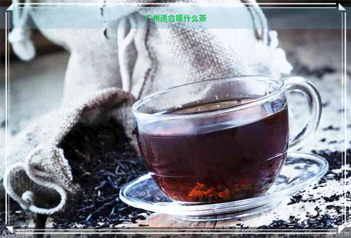 广州适合喝什么茶