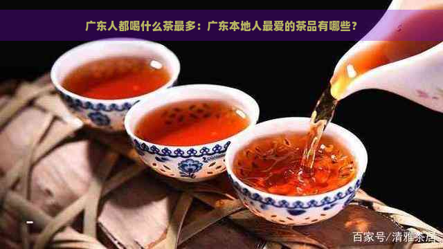 广东人都喝什么茶最多：广东本地人更爱的茶品有哪些？