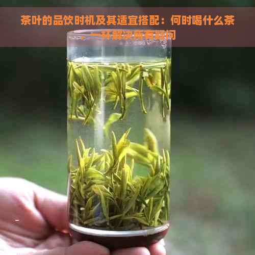 茶叶的品饮时机及其适宜搭配：何时喝什么茶，一杯解决所有疑问