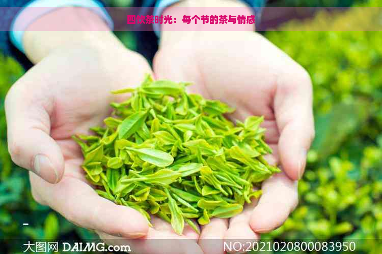 四饮茶时光：每个节的茶与情感