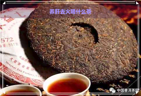 养肝去火喝什么茶