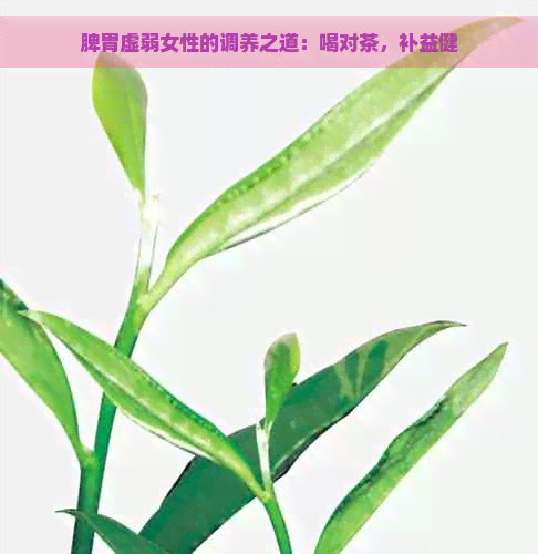 脾胃虚弱女性的调养之道：喝对茶，补益健