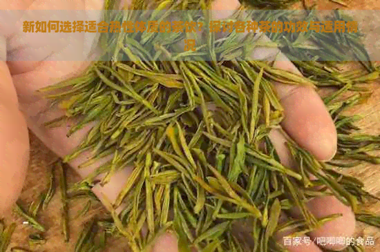 新如何选择适合热性体质的茶饮？探讨各种茶的功效与适用情况