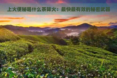 上火便秘喝什么茶降火：最快最有效的秘密武器