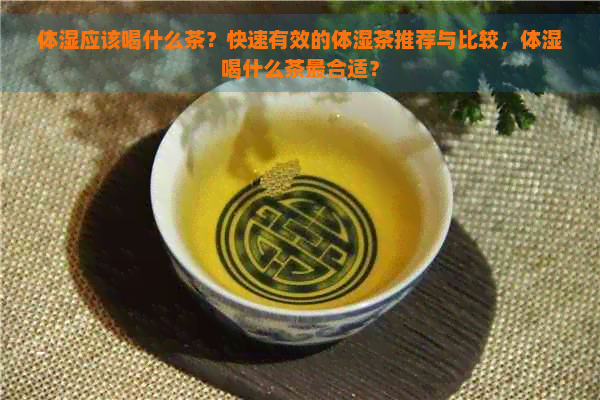 体湿应该喝什么茶？快速有效的体湿茶推荐与比较，体湿喝什么茶最合适？