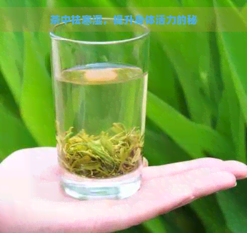 茶中祛寒湿，提升身体活力的秘