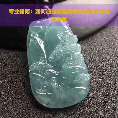 专业指南：如何通过福雅真爱翡翠的品质鉴别真假