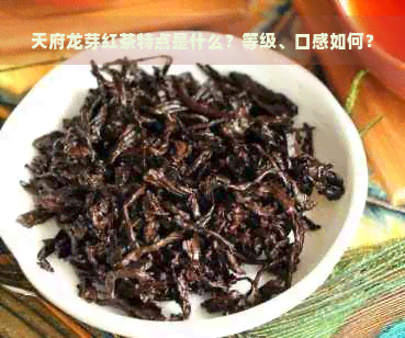 天府龙芽红茶特点是什么？等级、口感如何？