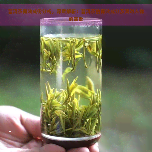 普洱茶有效成份分析，深度解析：普洱茶的有效成分及其对人体的益处