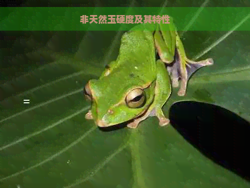 非天然玉硬度及其特性