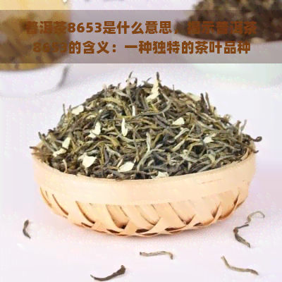 普洱茶8653是什么意思，揭示普洱茶8653的含义：一种独特的茶叶品种