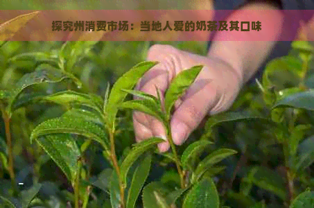 探究州消费市场：当地人爱的奶茶及其口味