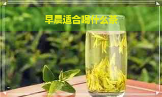 早晨适合喝什么茶