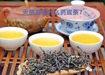 天感冒喝什么药或茶？