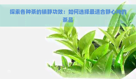 探索各种茶的镇静功效：如何选择最适合静心神的茶品