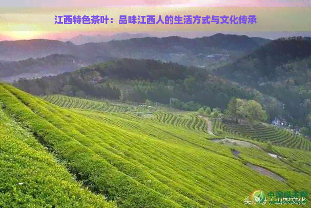 江西特色茶叶：品味江西人的生活方式与文化传承