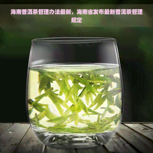 海南普洱茶管理办法最新，海南省发布最新普洱茶管理规定