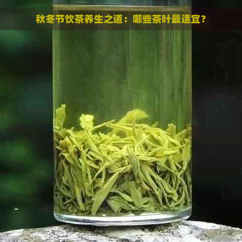 秋冬节饮茶养生之道：哪些茶叶最适宜？