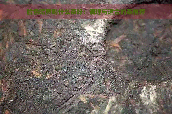 脸色暗黄喝什么茶好：调理与适合的茶推荐