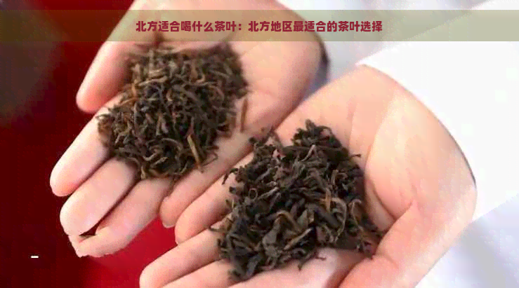 北方适合喝什么茶叶：北方地区最适合的茶叶选择