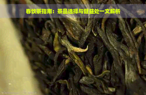 春饮茶指南：茶品选择与健益处一文解析