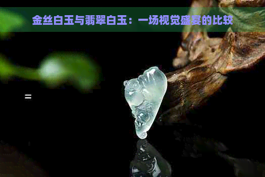 金丝白玉与翡翠白玉：一场视觉盛宴的比较