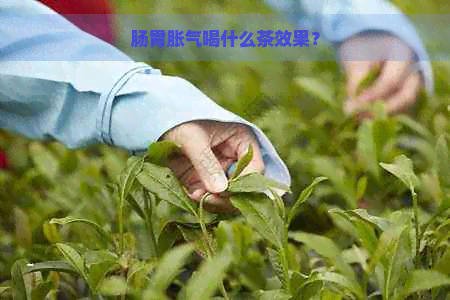 肠胃胀气喝什么茶效果？